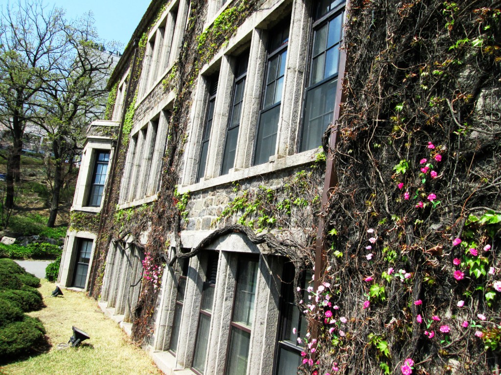 Yonsei Administration Building –  artistically colored by the walls of sweet pink confetti. 